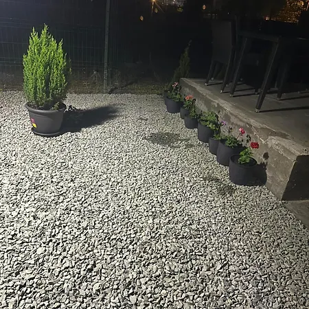 シャレー Casa De Lemn 1,tip A